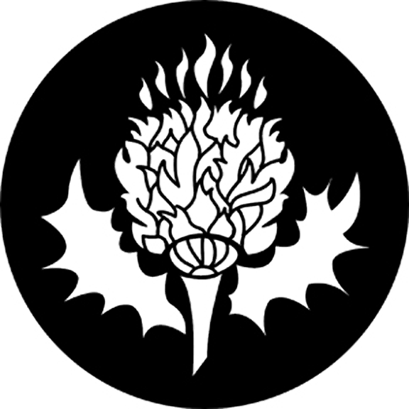 Rosco Thistle Gobo # 77676