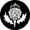 Rosco Thistle Gobo # 77676